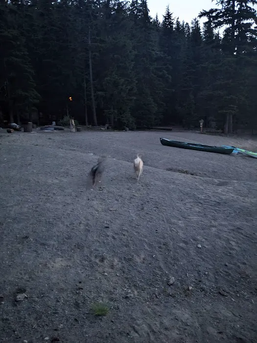 Newberry Group Camp Site Picture 1