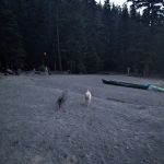Newberry Group Camp Site
