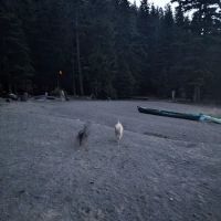 Newberry Group Camp Site ico