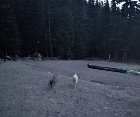 Newberry Group Camp Site