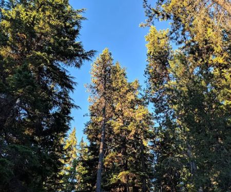 Chief Paulina Trailhead