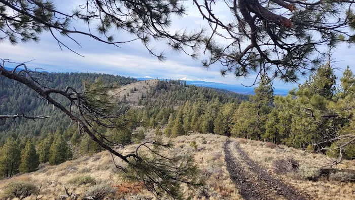 Pine Mountain Observatory Campground Picture 6