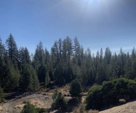 China Hat Campground
