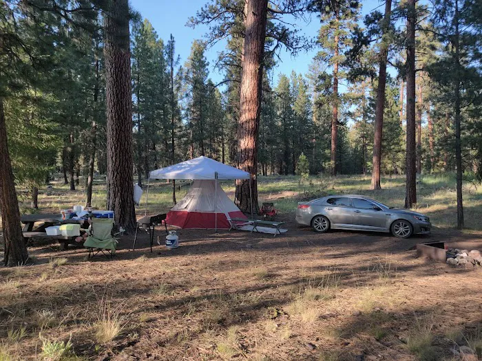 Allen Creek Horse Camp Picture 4