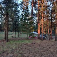 Allen Creek Horse Camp ico