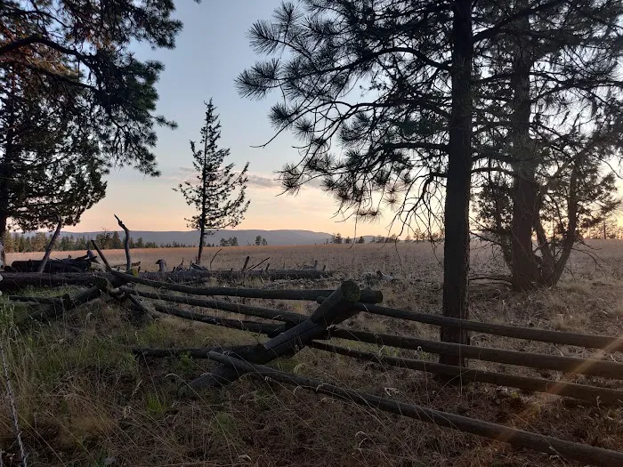 Allen Creek Horse Camp Picture 3