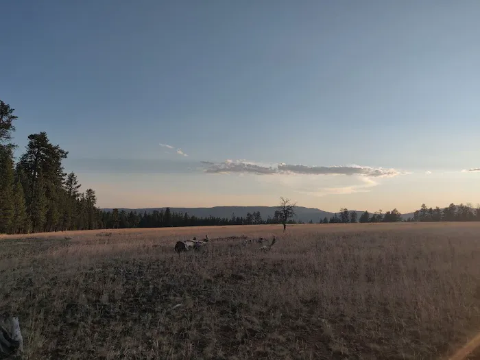 Allen Creek Horse Camp Picture 2