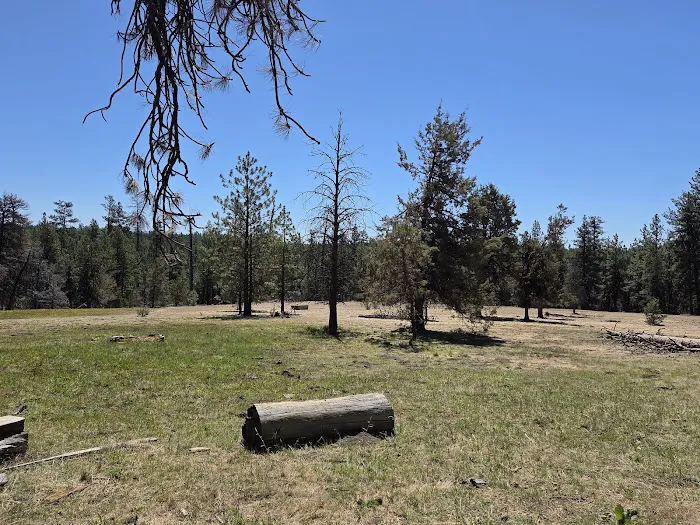 Twin Springs Campground Picture 5