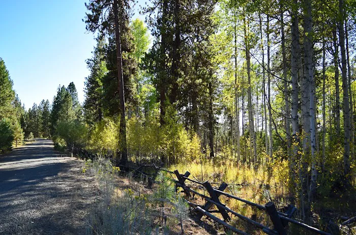 Twin Springs Campground Picture 4