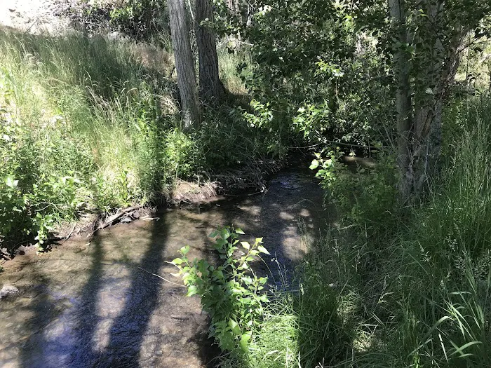 Mitchell City Park Picture 8