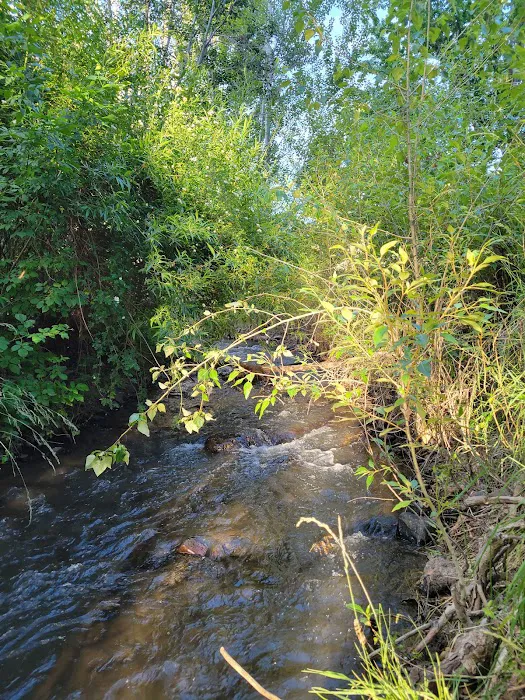 Mitchell City Park Picture 1