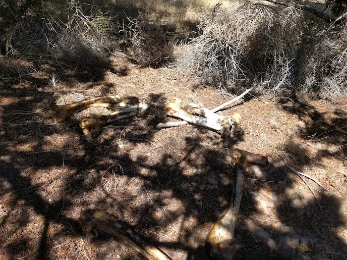 Hidden Springs Picture 7