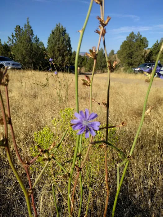 Hidden Springs Picture 6