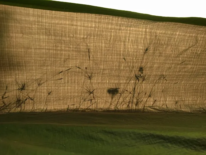 Hidden Springs Picture 3