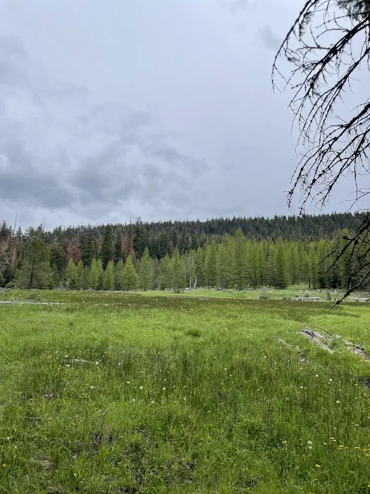 Barnhouse Campground Picture 5