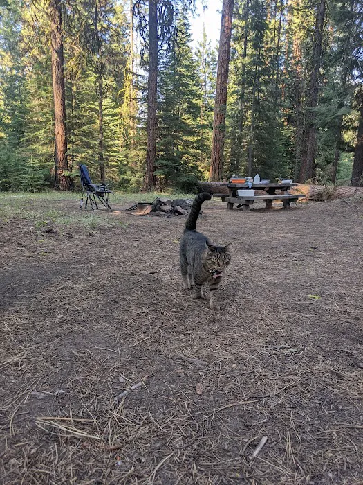 Wiley Flat Campground Picture 8