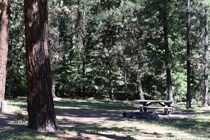 Wiley Flat Campground Picture 3