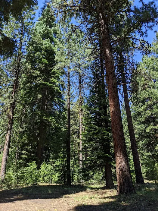 Wiley Flat Campground Picture 7