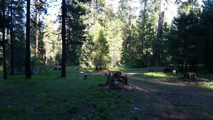 Wiley Flat Campground Picture 9