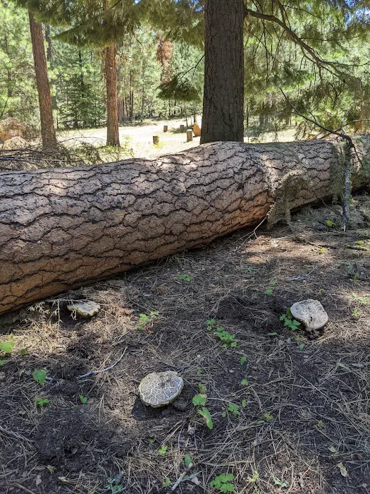 Wiley Flat Campground Picture 6