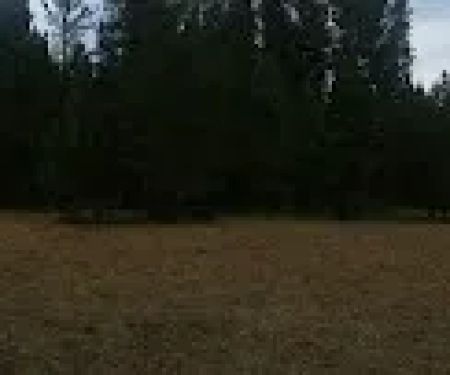 Little Summit Campground