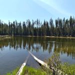 Thielsen Forest Camp