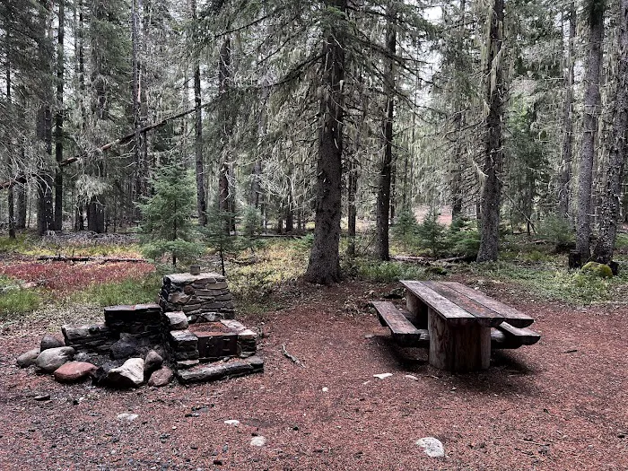 Thielsen Forest Camp Picture 6