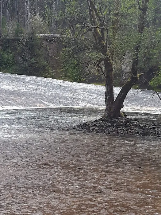 South Umpqua Falls Campground Picture 6