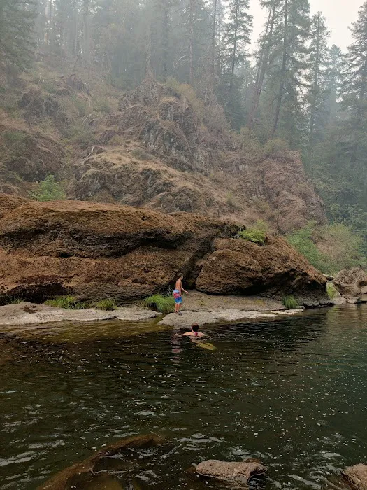 Ash Flat Campground Picture 1