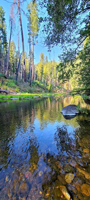 Ash Flat Campground Picture 10
