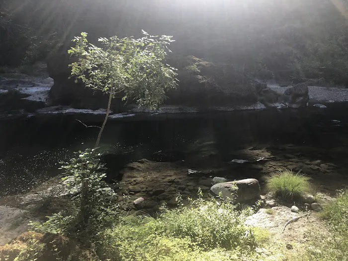 Ash Flat Campground Picture 2