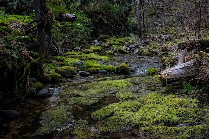 Cover Campground Picture 1