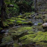 Cover Campground ico