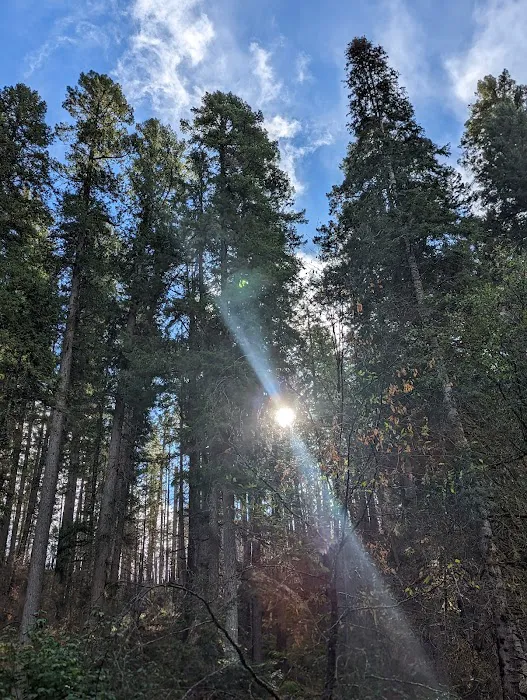 Cover Campground Picture 7