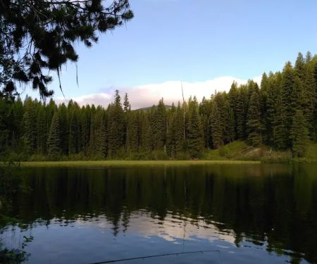 Fishtrap Lake Campground