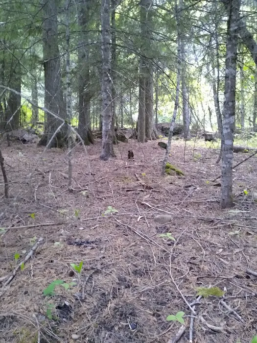 Copper King Campground Picture 3