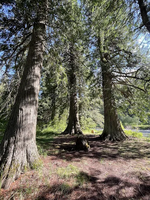 Clark Memorial Campground Picture 5