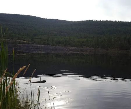 Little Mc Gregor Campground