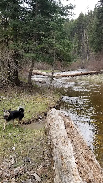 CAMP 32 Campground Picture 6