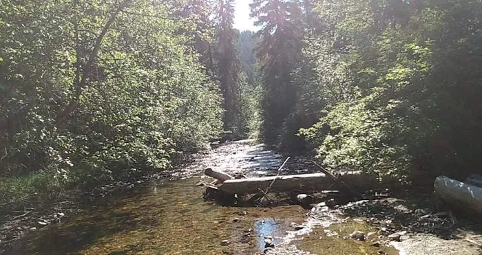 CAMP 32 Campground Picture 4