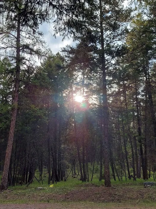 Rock Lake Campground Picture 6