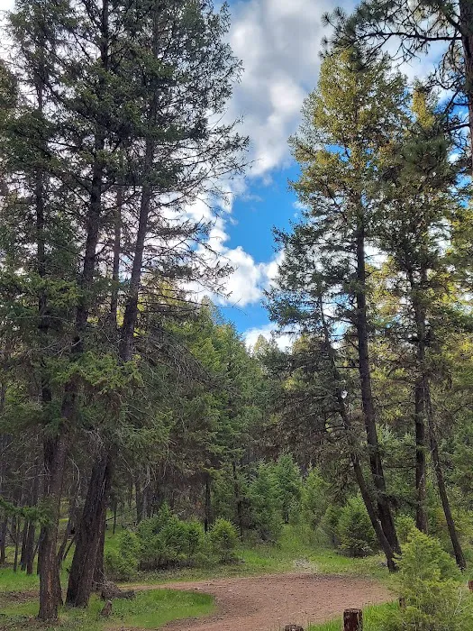 Rock Lake Campground Picture 8