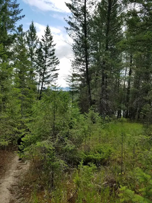 Rexford Bench Campground Picture 7