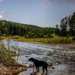 Tobacco River Campground
