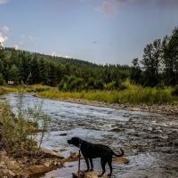 Tobacco River Campground ico