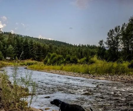 Tobacco River Campground