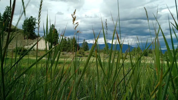 Tobacco River Campground Picture 2