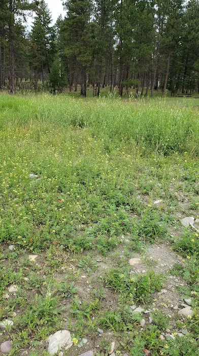 Swisher Lake Campground Picture 3