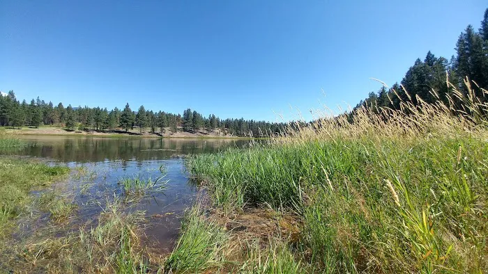 Swisher Lake Campground Picture 10