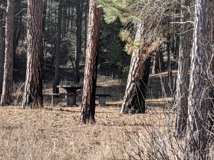 Swisher Lake Campground Picture 8